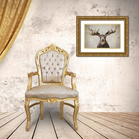 Moose Gold Ornate Wood Framed Art Print with Double Matting by Cook, Natasia