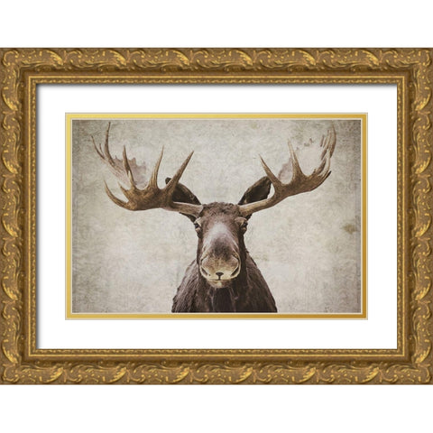 Elmer  Gold Ornate Wood Framed Art Print with Double Matting by Cook, Natasia