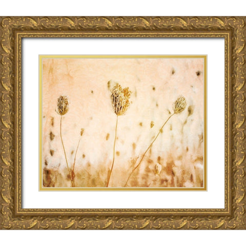 Lace in Autumn  Gold Ornate Wood Framed Art Print with Double Matting by Halli, Hal