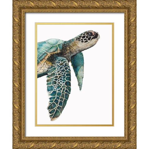 Great Sea TurtleÂ  Gold Ornate Wood Framed Art Print with Double Matting by Hatfield, Jodi