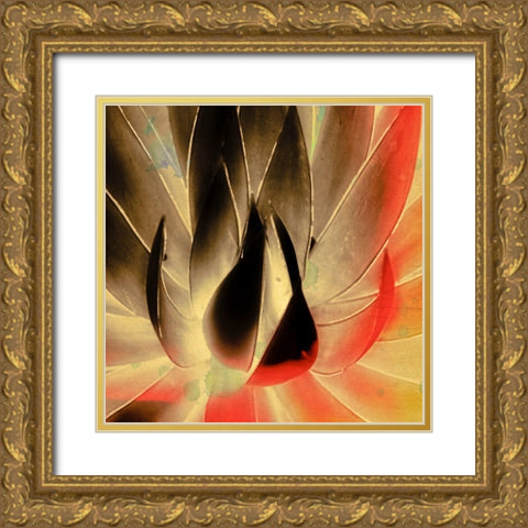 Aloe in the Sun III Gold Ornate Wood Framed Art Print with Double Matting by Hartson-Weddle, Ryan