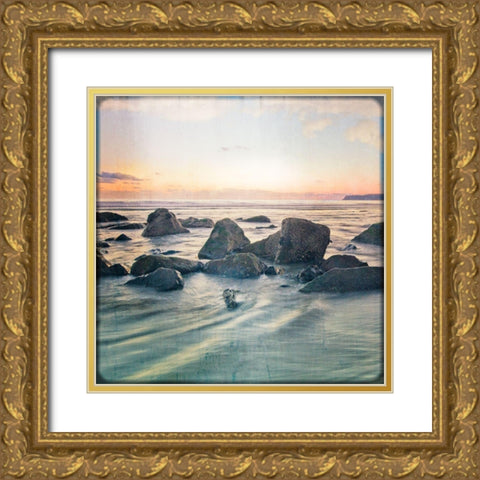 Go with the Flow II Gold Ornate Wood Framed Art Print with Double Matting by Weddle, Ryan Harson