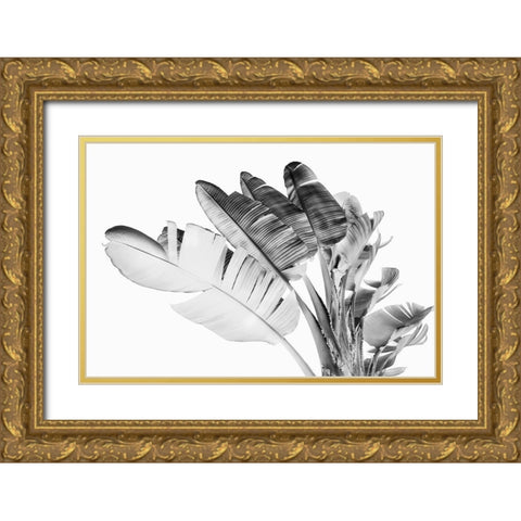 Tropical Velvet I - BW  Gold Ornate Wood Framed Art Print with Double Matting by Hartson- Weddle, Ryan