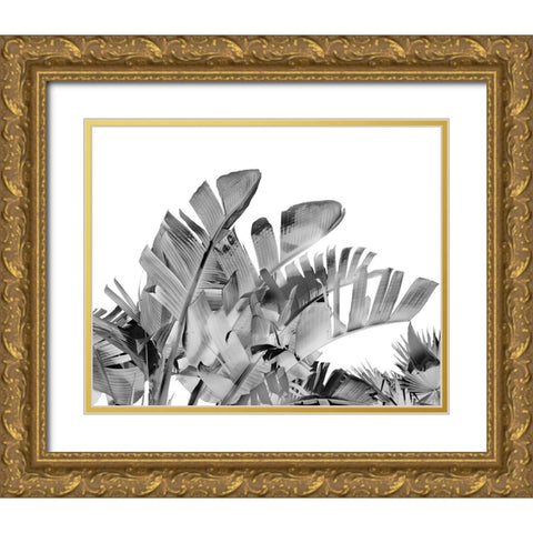 Tropical Velvet III - B-W  Gold Ornate Wood Framed Art Print with Double Matting by Harston-Weddle, Ryan