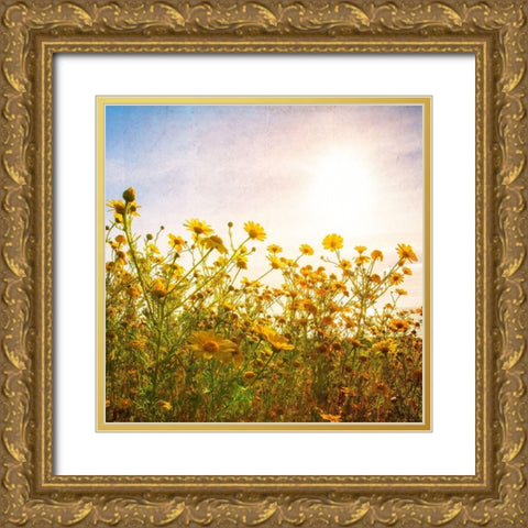 Sun Reacher  Gold Ornate Wood Framed Art Print with Double Matting by Weddle, Ryan Hartson