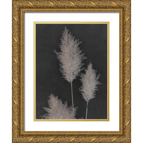 Midnight Pampas Grass II  Gold Ornate Wood Framed Art Print with Double Matting by Singh, Dan