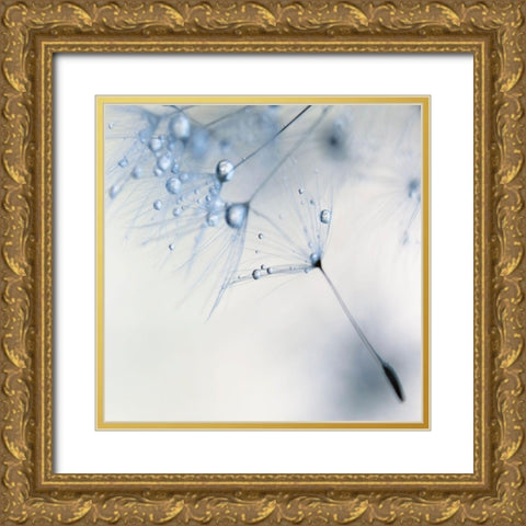 Baby Blue Gold Ornate Wood Framed Art Print with Double Matting by Beddoes, Ingrid