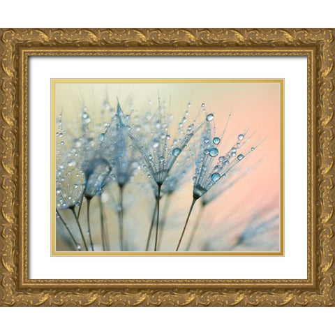 Summer Rain Gold Ornate Wood Framed Art Print with Double Matting by Beddoes, Ingrid