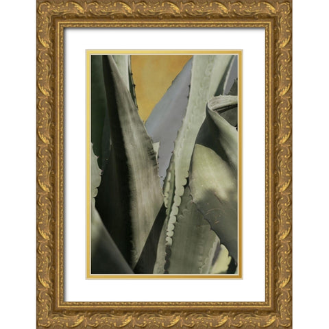 Agave Deserti I Gold Ornate Wood Framed Art Print with Double Matting by Valner, Jessica