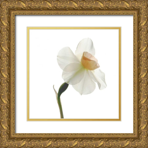 Rise Gold Ornate Wood Framed Art Print with Double Matting by Stalus, Judy