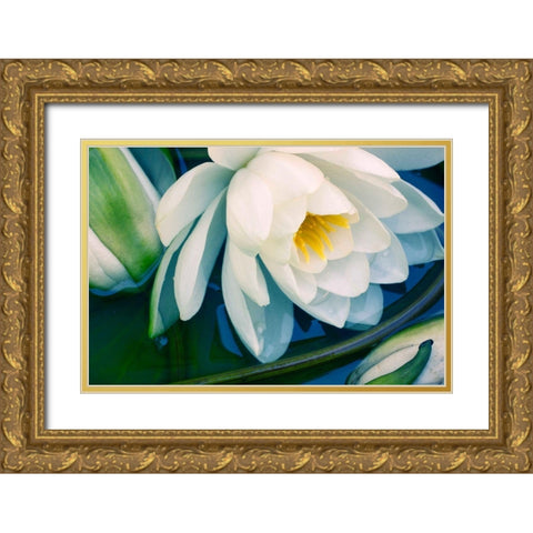Calico Gold Ornate Wood Framed Art Print with Double Matting by Stalus, Judy