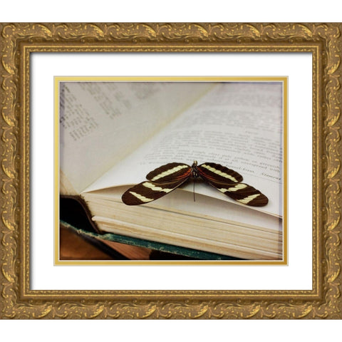 Butterfly Gold Ornate Wood Framed Art Print with Double Matting by Stalus, Judy