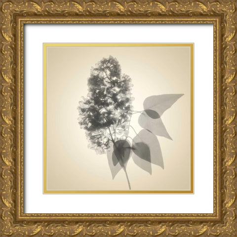 Daisy Bouquet Gold Ornate Wood Framed Art Print with Double Matting by Stalus, Judy
