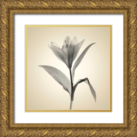 Maples Gold Ornate Wood Framed Art Print with Double Matting by Stalus, Judy