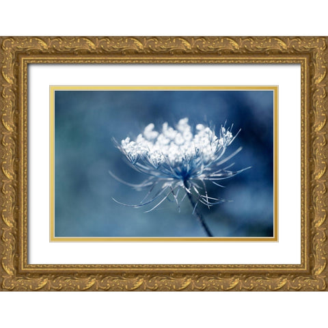 Queen Anne II Gold Ornate Wood Framed Art Print with Double Matting by Stalus, Judy
