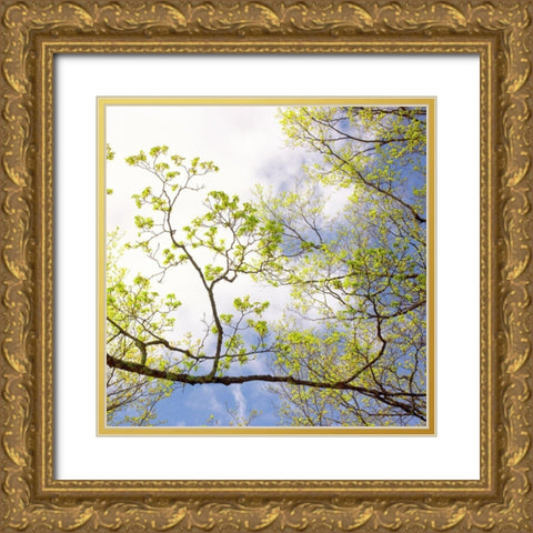 Spring Sky I Gold Ornate Wood Framed Art Print with Double Matting by Stalus, Judy