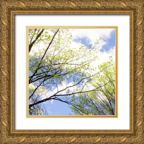 Spring Sky II Gold Ornate Wood Framed Art Print with Double Matting by Stalus, Judy
