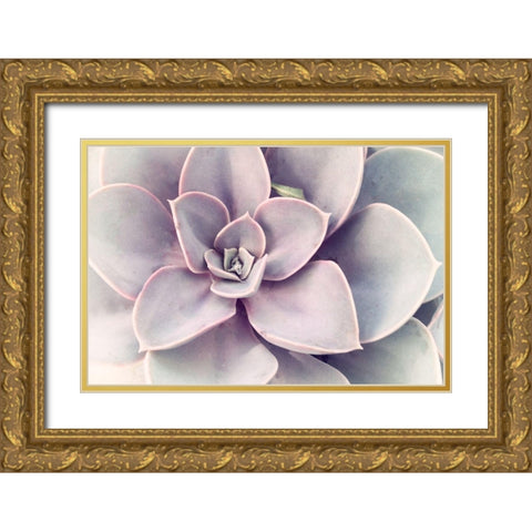 Purple Succulent  Gold Ornate Wood Framed Art Print with Double Matting by Stalus, Judy