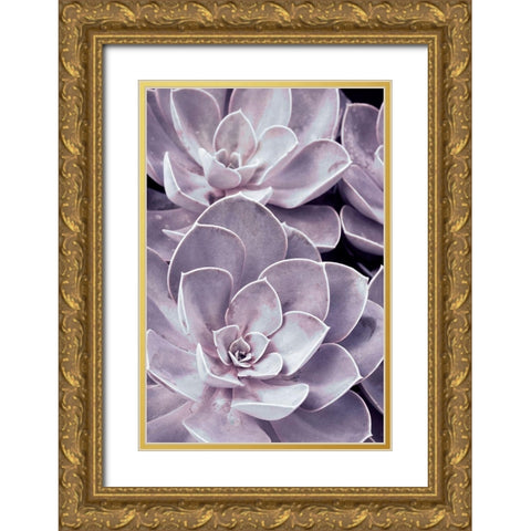 Violet Succulents  Gold Ornate Wood Framed Art Print with Double Matting by Stalus, Judy