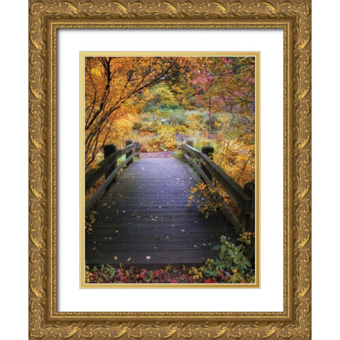 Bridge Over Shallow Water Gold Ornate Wood Framed Art Print with Double Matting by Jenney, Jessica