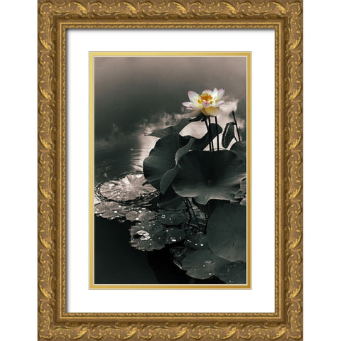 Lotus in the Mist Gold Ornate Wood Framed Art Print with Double Matting by Jenney, Jessica
