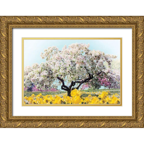 Pastel Park Gold Ornate Wood Framed Art Print with Double Matting by Jenney, Jessica