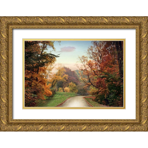 Country Road Gold Ornate Wood Framed Art Print with Double Matting by Jenney, Jessica