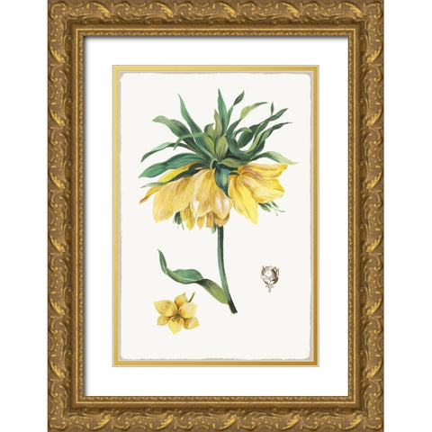 New Botana I  Gold Ornate Wood Framed Art Print with Double Matting by Jensen, Asia