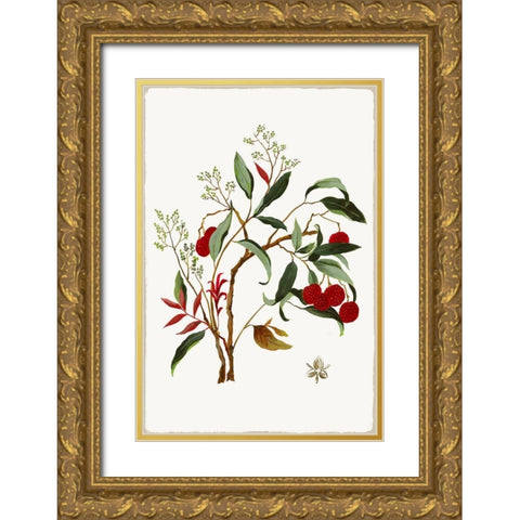 New Botana II  Gold Ornate Wood Framed Art Print with Double Matting by Jensen, Asia