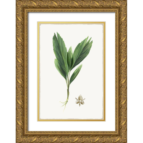 New Botana IV Gold Ornate Wood Framed Art Print with Double Matting by Jensen, Asia