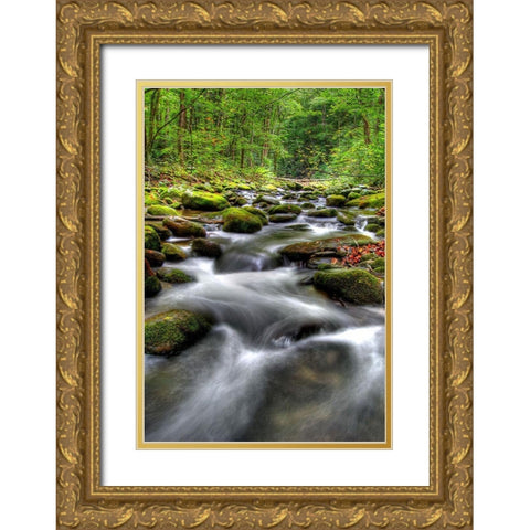 Smoky Mountain Tranquility Gold Ornate Wood Framed Art Print with Double Matting by West, James