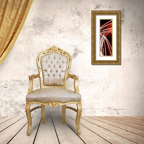 Transit B Gold Ornate Wood Framed Art Print with Double Matting by McMasters, James