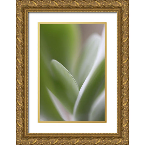 Flow Gold Ornate Wood Framed Art Print with Double Matting by JUSTART