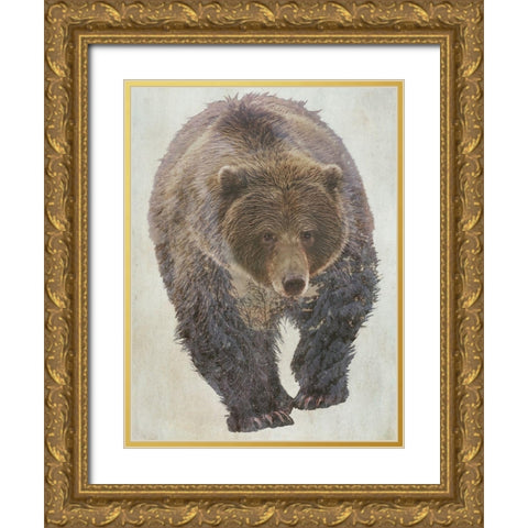 Brown Bear Walking Gold Ornate Wood Framed Art Print with Double Matting by Curinga, Kim