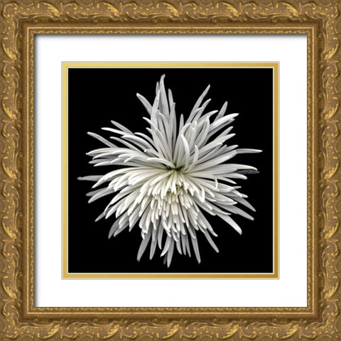Mauimum Gold Ornate Wood Framed Art Print with Double Matting by Le Blanc, Dawn