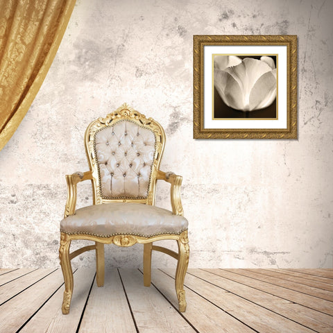 Glow Gold Ornate Wood Framed Art Print with Double Matting by Le Blanc, Dawn