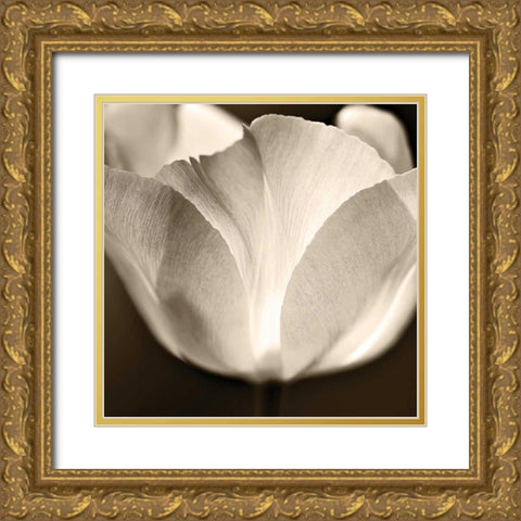 Glow Gold Ornate Wood Framed Art Print with Double Matting by Le Blanc, Dawn