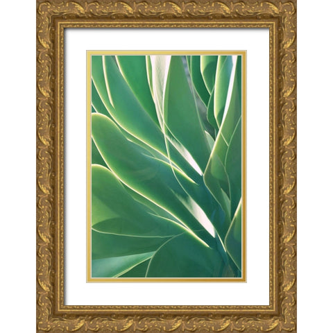 Botanical Light Play Gold Ornate Wood Framed Art Print with Double Matting by Robertson, Leda