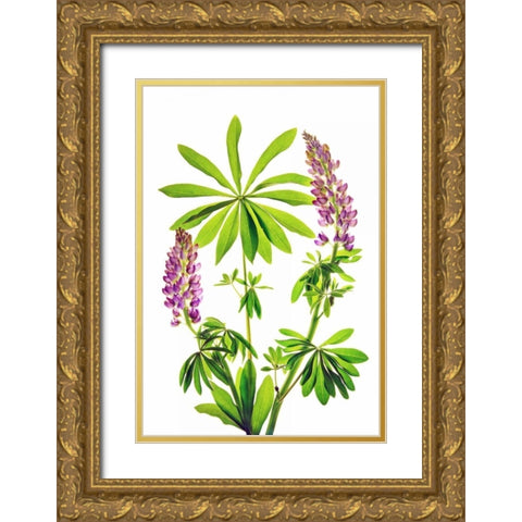 Greet the Day Gold Ornate Wood Framed Art Print with Double Matting by Robertson, Leda