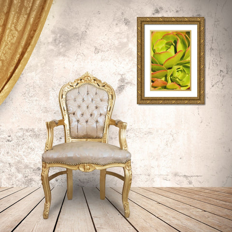 Sweet Succulents I Gold Ornate Wood Framed Art Print with Double Matting by Robertson, Leda