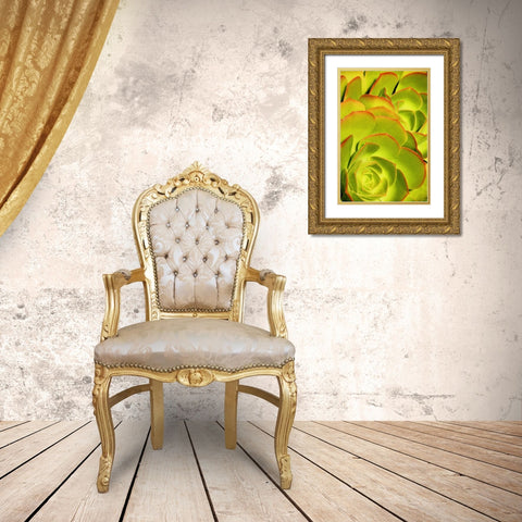 Sweet Succulents II Gold Ornate Wood Framed Art Print with Double Matting by Robertson, Leda