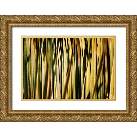 Desert Grasses I Gold Ornate Wood Framed Art Print with Double Matting by Robertson, Leda