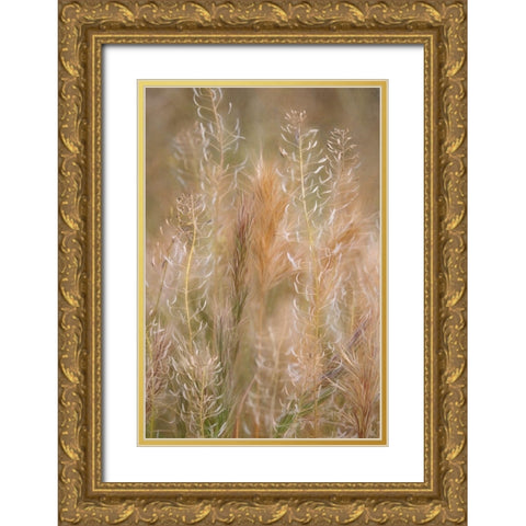 Dreamy Summer II Gold Ornate Wood Framed Art Print with Double Matting by Robertson, Leda