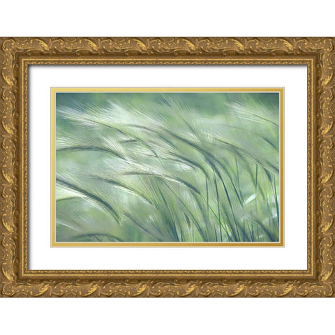 Gentle Dreams  Gold Ornate Wood Framed Art Print with Double Matting by Robertson, Leda