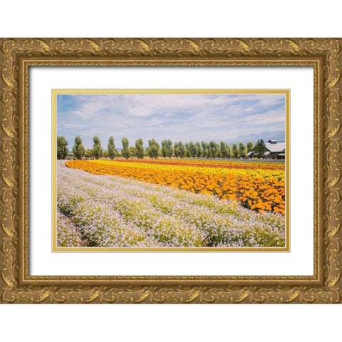 Flowers in Hokkaido I  Gold Ornate Wood Framed Art Print with Double Matting by Lefer, Clement