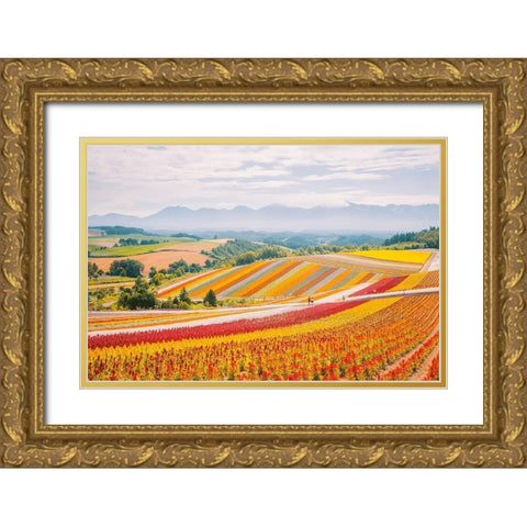 Flowers in Hokkaido II  Gold Ornate Wood Framed Art Print with Double Matting by Lefer, Clement