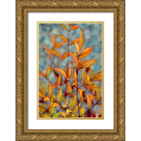 The Fire Within Gold Ornate Wood Framed Art Print with Double Matting by Agrypolous, Lisa