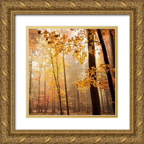 Autumn Blush Gold Ornate Wood Framed Art Print with Double Matting by Lehnhardt, Iris