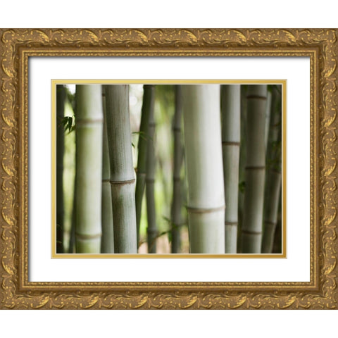 Huntington II Gold Ornate Wood Framed Art Print with Double Matting by Mourier, Lily