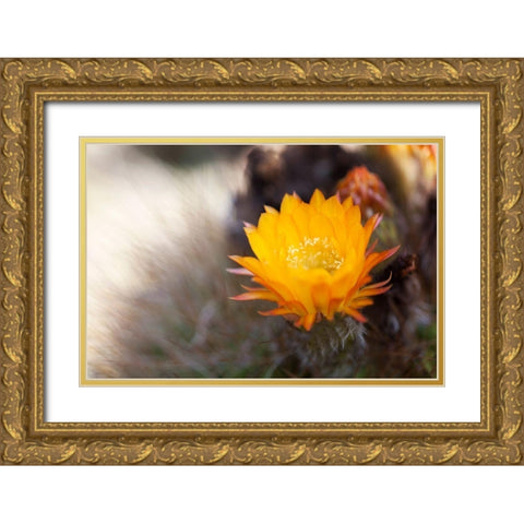 Wild Flowers I Gold Ornate Wood Framed Art Print with Double Matting by Mourier, Lily